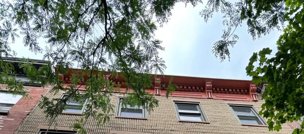 Cornice Refurbishment